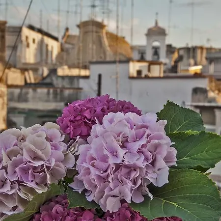 Le Nicchie Guest house Bari