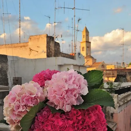 Pensionat Le Nicchie 3*